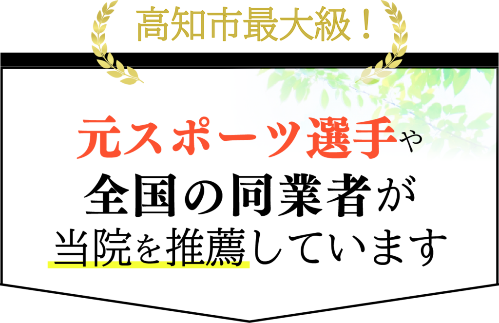 元スポーツ選手や全国の同業者が当院を推薦しています